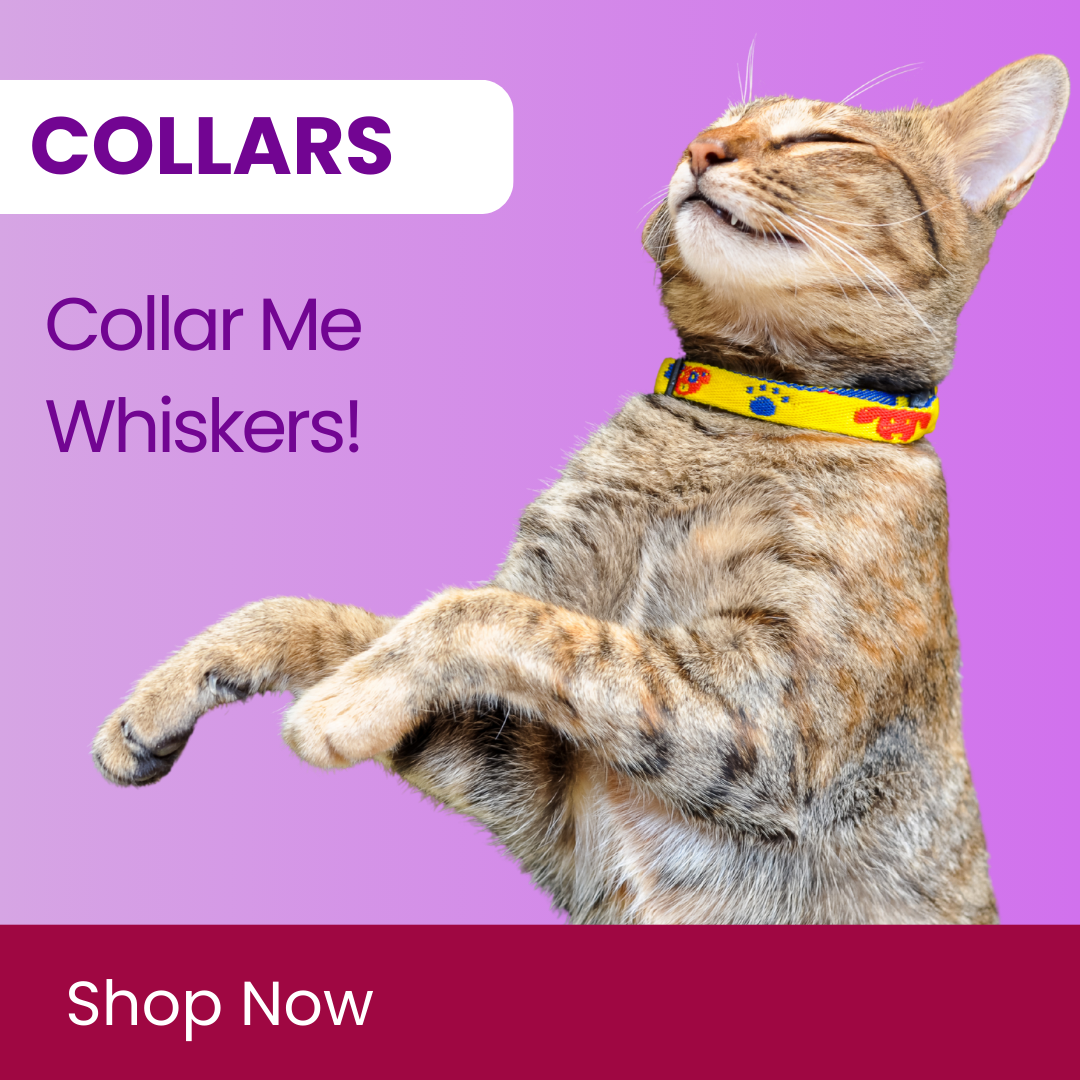 CAT COLLAR