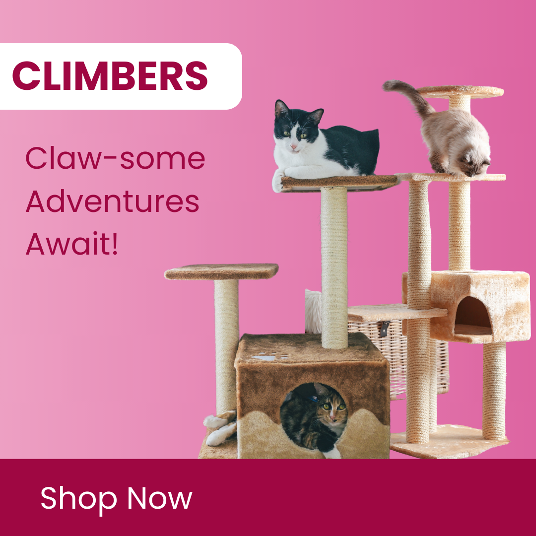 CAT SCRATCHER, CLIMBER & CONDOS