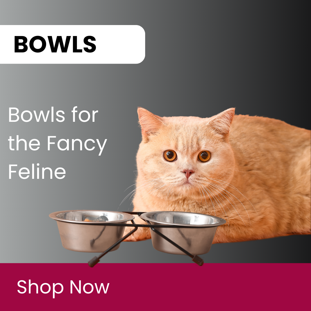 CAT BOWLS