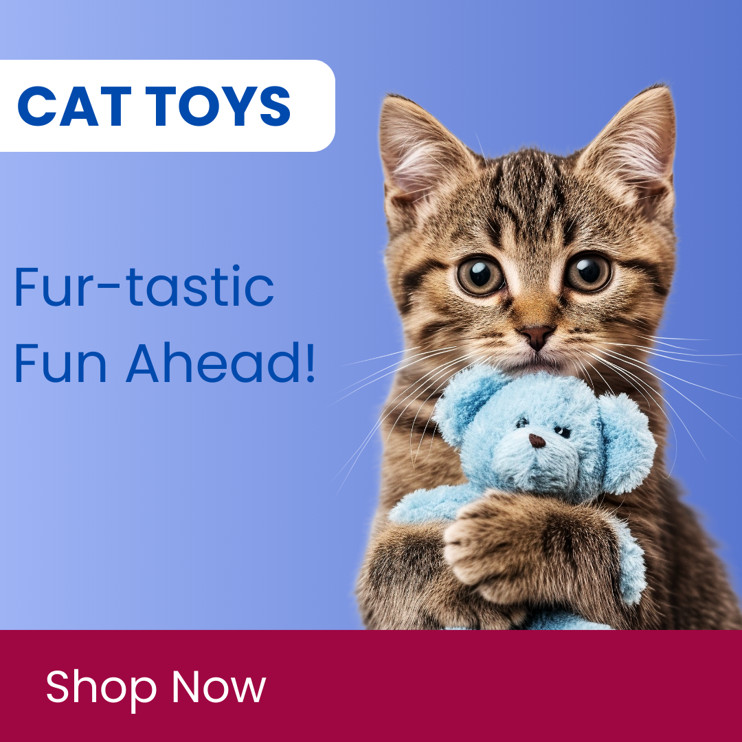 CAT TOYS