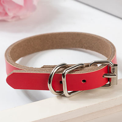 Leather dog collar dog chain