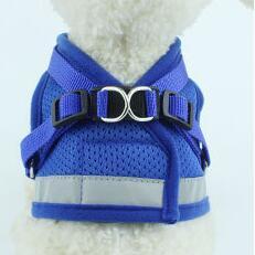 Dog Harness And Leash Set