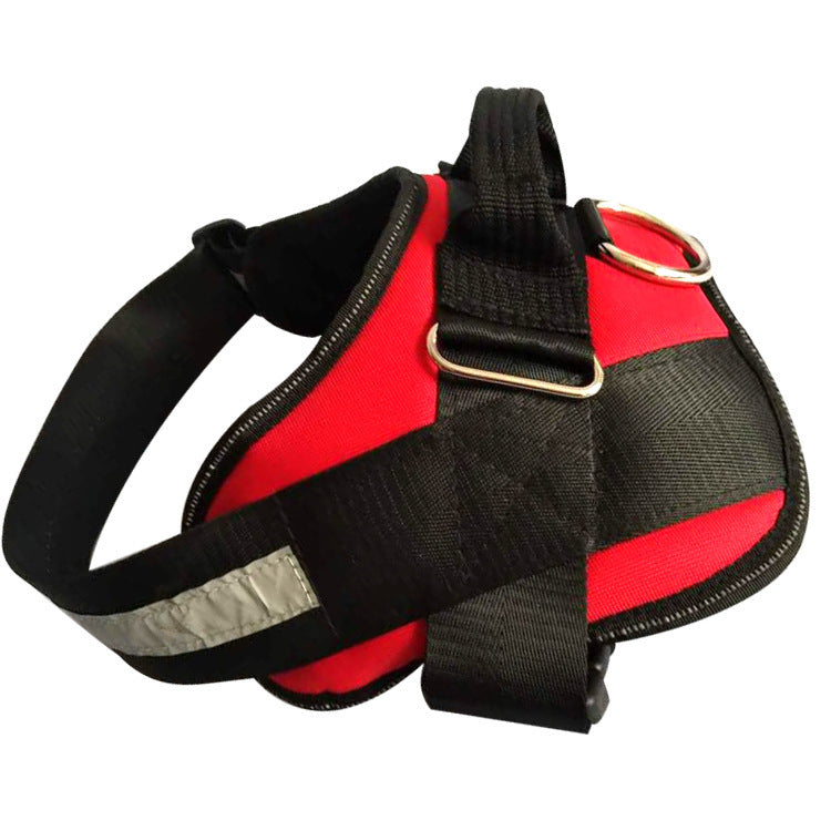 Pet chest strap with dog leash