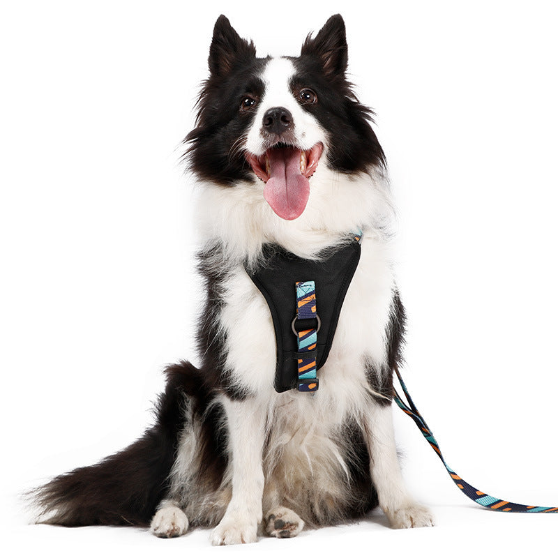 DODOPET pet chest strap