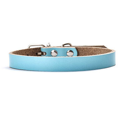 Leather dog collar dog chain