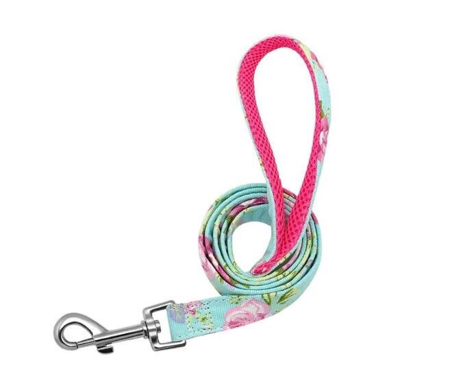 Pet dog nylon Leine