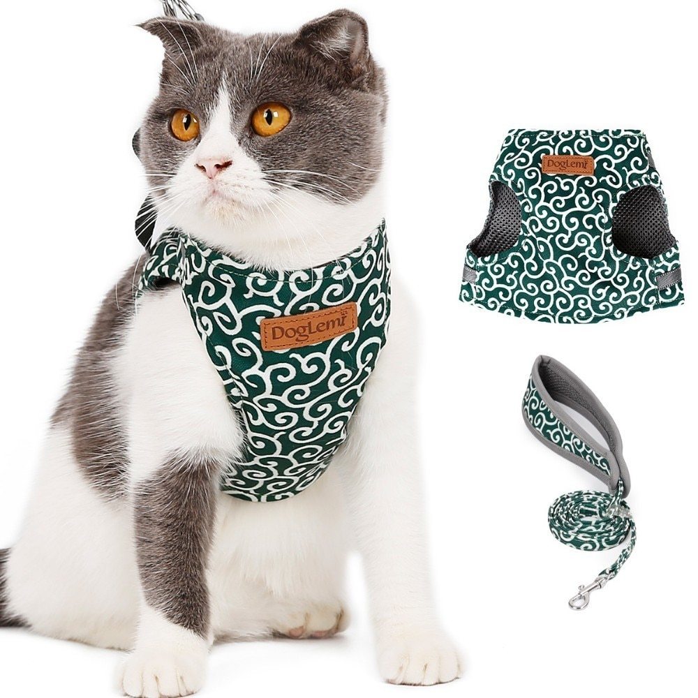 Cat vest harness traction rope