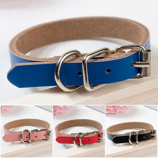 Leather dog collar dog chain