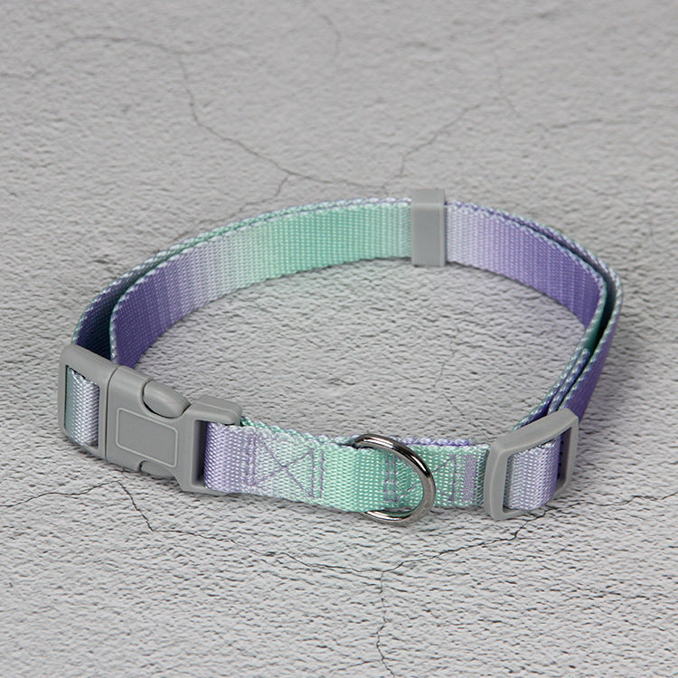 Pet Gradient Color Out Dog Leash Leash Set