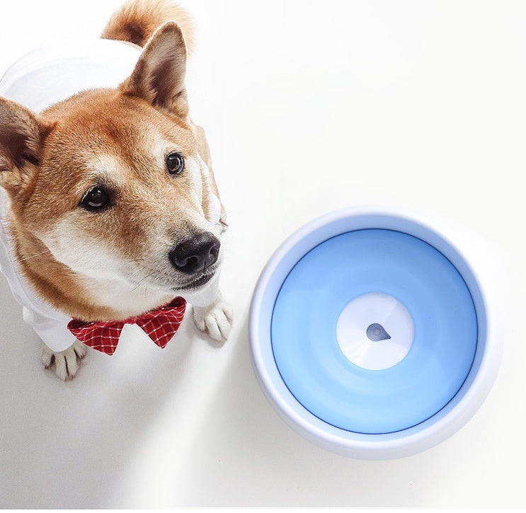 Dog automatic drinking bowl