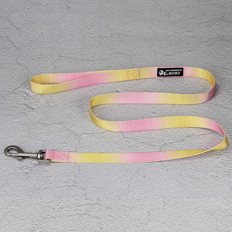 Pet Gradient Color Out Dog Leash Leash Set