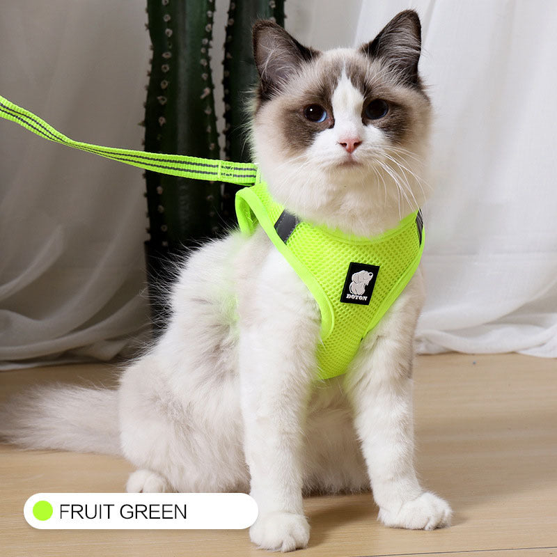 Anti-strike cat traction cat harness