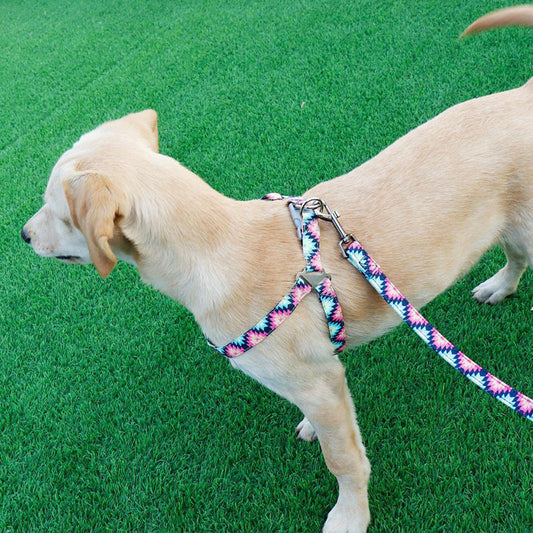 Vest-style Dog Pet Leash And Chest Harness