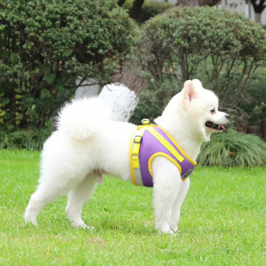 Vest Type Dog Leash Reflective Breathable